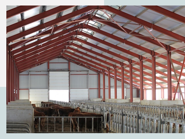 Строительство коровников в Нягани