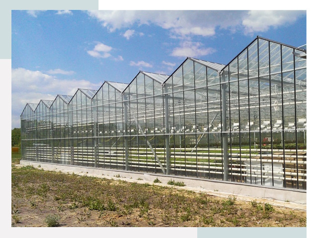 Строительство теплиц в Нягань от 611 руб. за м²