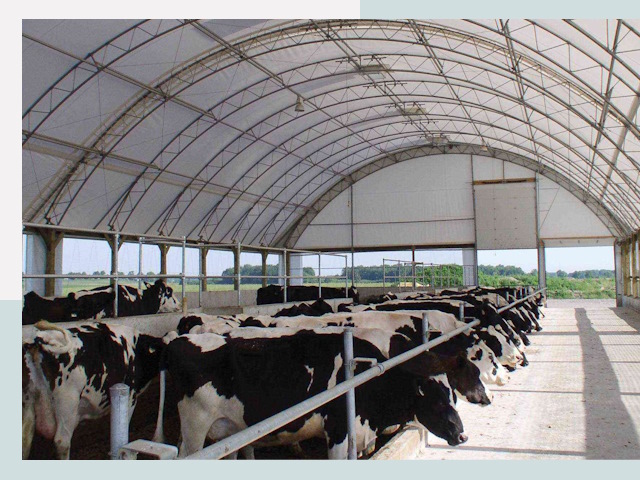 Тентовые коровники в Нягани